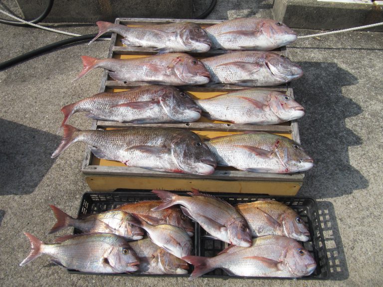 爆釣