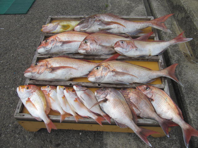 爆釣