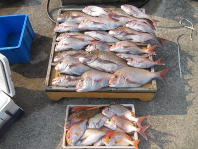 爆釣