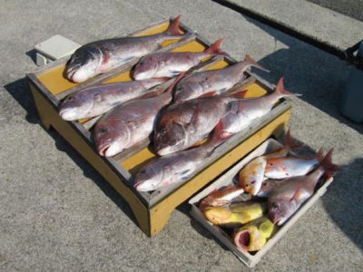 爆釣
