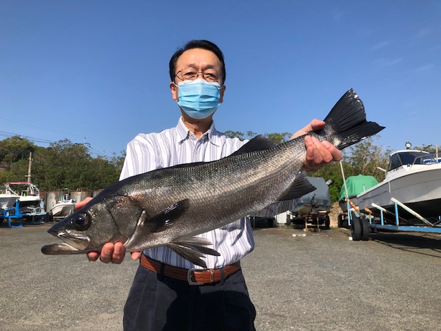 スズキ